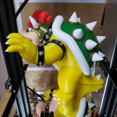 Picture of print of Bowser from Mario games - Multi-color This print has been uploaded by Luis Albero