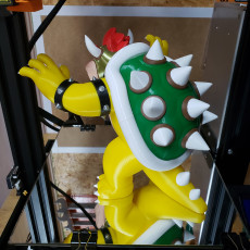 Picture of print of Bowser from Mario games - Multi-color This print has been uploaded by Luis Albero