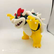 Picture of print of Bowser from Mario games - Multi-color This print has been uploaded by Patrick Born