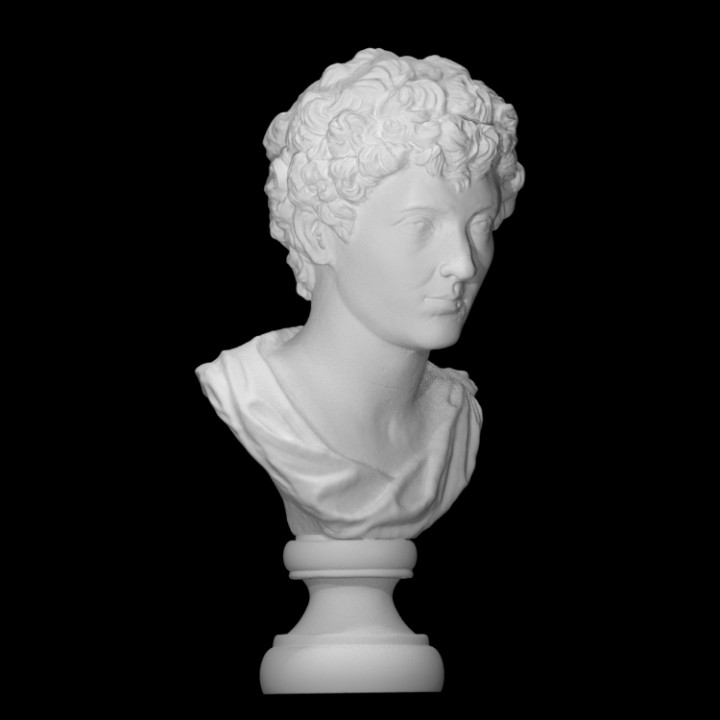 Marcus Aurelius as successor to the throne