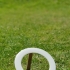 UFO Ring Frisbee image