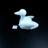compartment duck image