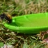 Bee Leaf  #TinkerFun image