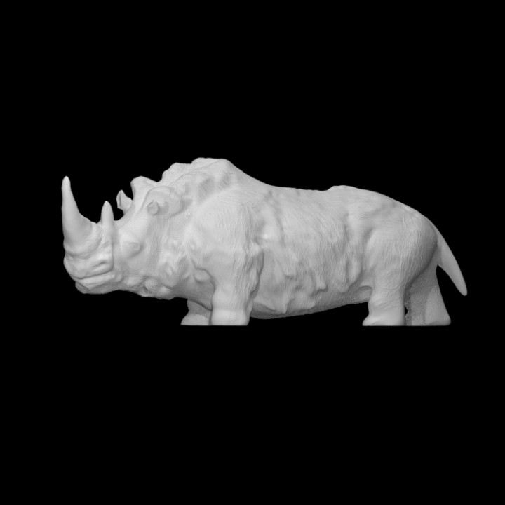 Prehistoric rhinoceros