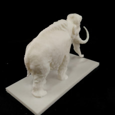 Picture of print of Mammoth