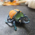 Beetle print image