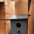 Raspberry Pi Bird Box image