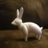 Simple Rabbit (Totemic) image