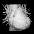 Human heart image