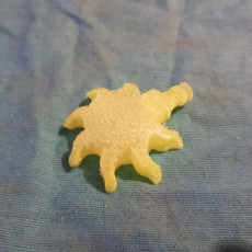 Picture of print of sun sprinkler