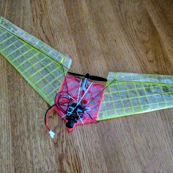 Flying Wing with FPV
