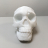 Neanderthal skull print image