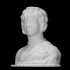 Male bust image