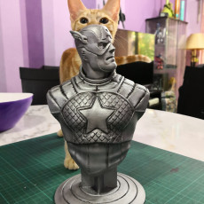 Picture of print of Captain America bust