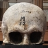Skull Cast of Robert Burns image