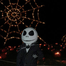 Picture of print of Halloween Jack Skellington This print has been uploaded by Pat Ormiston