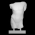 Torso of a Young Male image
