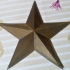 "Star" Buckle for Belt for Miss Arcade cosplay image