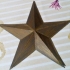 "Star" Buckle for Belt for Miss Arcade cosplay image