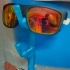 Sunglasses holder middle finger image