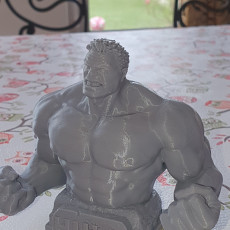 Picture of print of Hulk bust This print has been uploaded by Fede ambro