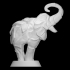 Trumpeting Elephant image