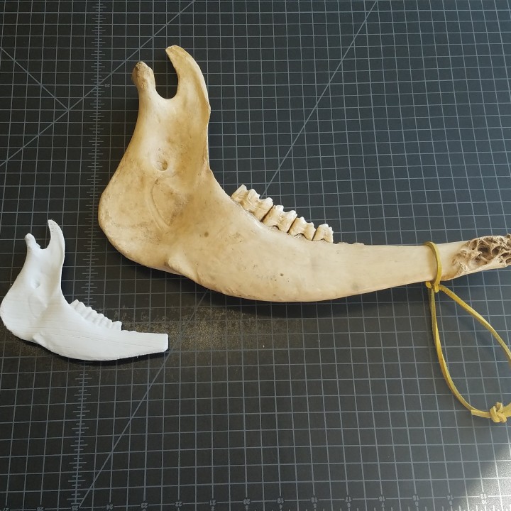 3D Printable Buffalo Jawbone Scan - Native American Weapon by Chris Kaminsky