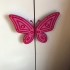 large Butterfly Handles image