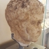 Head of Augustus (?) image