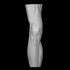 Muscles of the right knee image