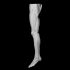 Muscles of the legs image