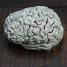 Picture of print of Brain