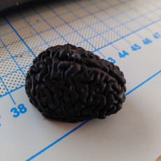 Picture of print of Brain
