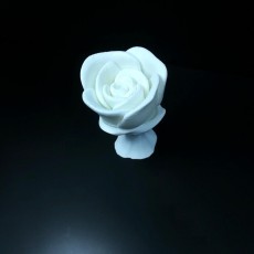 Picture of print of Rose