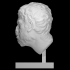 Head of a Satyr image