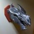 Skyrim Elder Dragon wall Trophy image