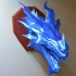 Skyrim ice Dragon wall Trophy image
