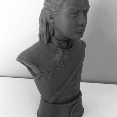 Picture of print of Arya Stark Bust  - Game of Thrones