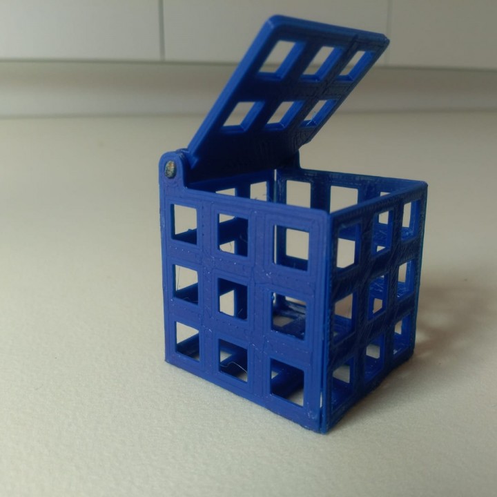 3D Printed Box