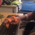 Orthosis for Typing and touchscreen image