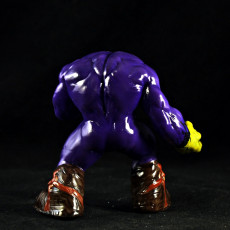 Picture of print of The MAXX