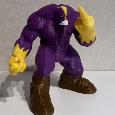 Picture of print of The MAXX