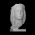 Head of wreathed youth image
