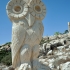 The Owl image