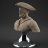 Pirate (Removable Hat) image
