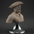 Pirate (Removable Hat) image