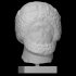 Head of Zeus Lauranious image