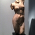Nude female torso image