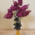 Decorative Elegant Vaze image