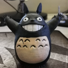 Picture of print of Totoro!